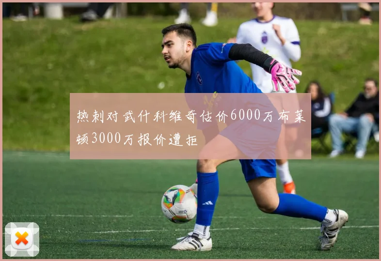 热刺对武什科维奇估价6000万布莱顿3000万报价遭拒